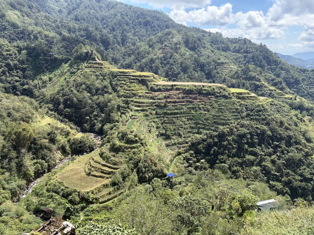 Mirador de los Arrozales de Banaue, Manila