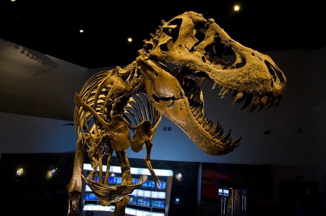 The Mind Museum, Manila